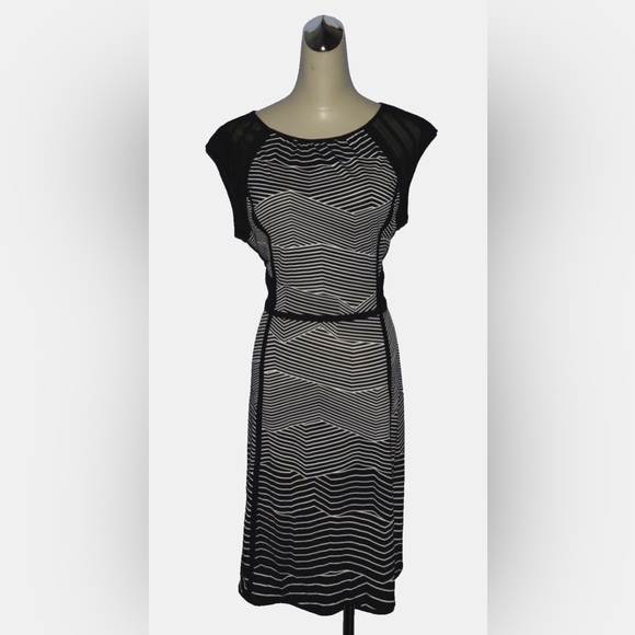 BCBGMAXAZRIA ILANA NEW $198 NWT SZ L LARGE BLACK WHITE STRIPES SLEEVELESS DRESS - Picture 3 of 15